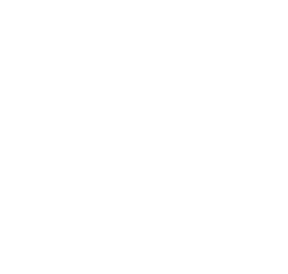 BLACK ALBATROSS